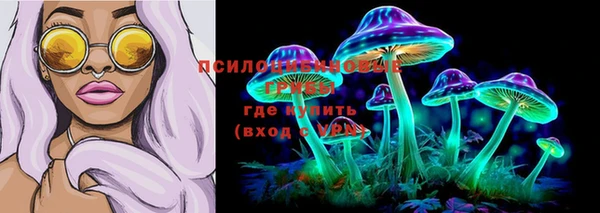 a pvp Бугульма