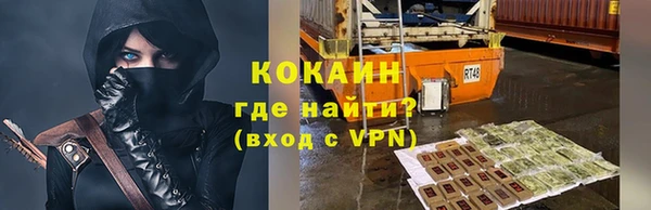 дживик Богородицк