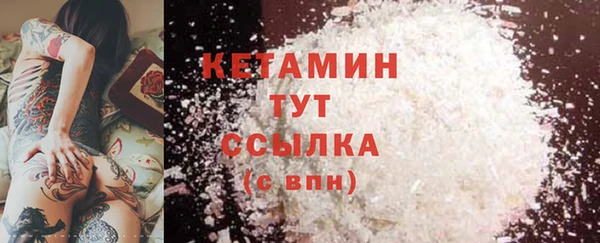 дживик Богородицк