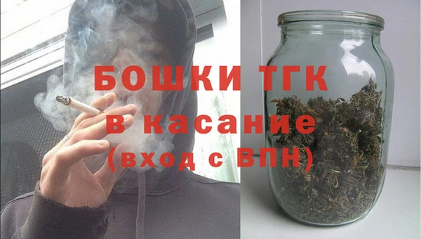 дживик Богородицк