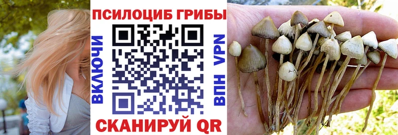 Галлюциногенные грибы мухоморы  Купить где  Лахденпохья 